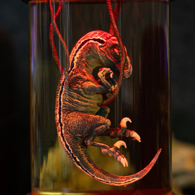 Close-up of a raptor specimen suspended by cables inside a resin capsule