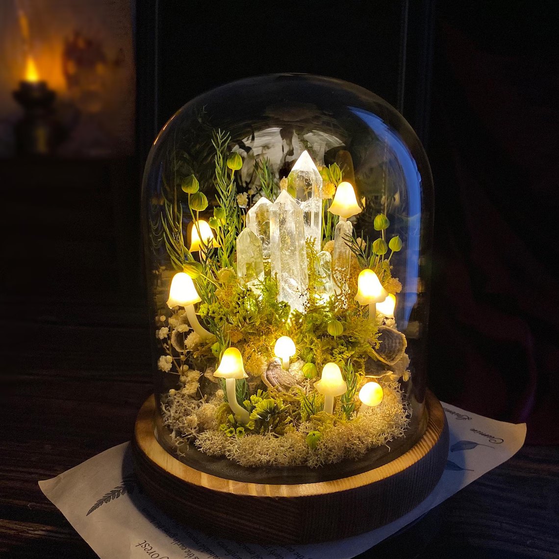 Glass dome mushroom night light on a book page