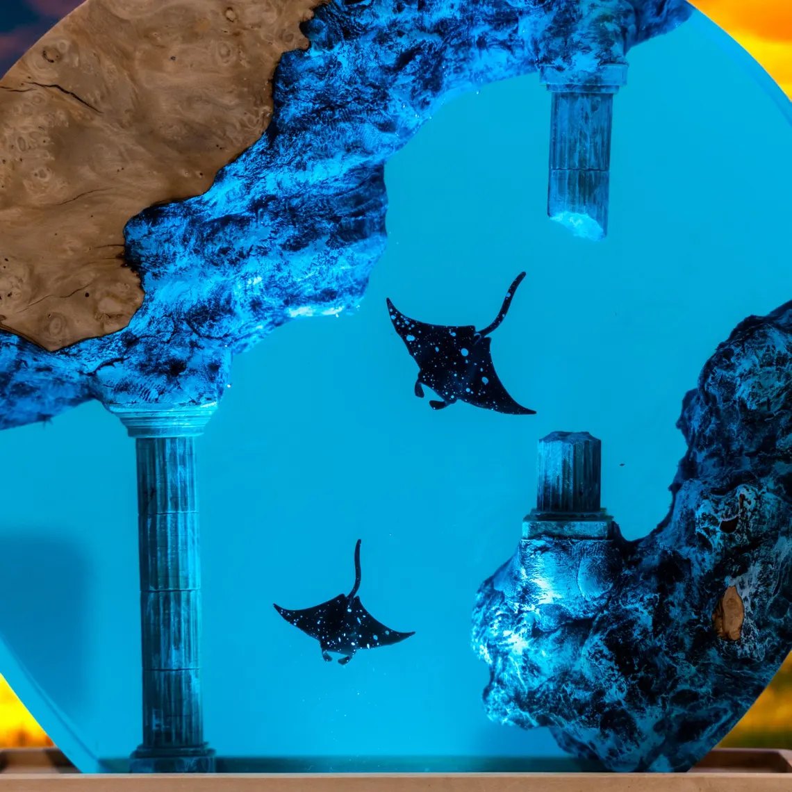 Close-up of spotted eagle rays and sunken column