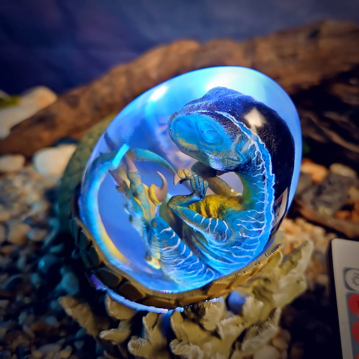 Close-up of the blue raptor embryo inside the clear resin egg