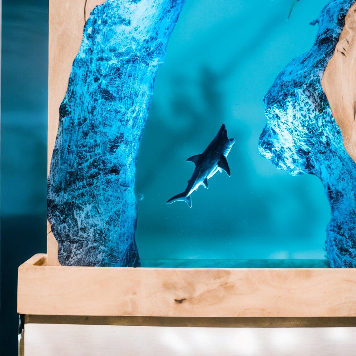 Close-up of the shark between textured blue reef walls