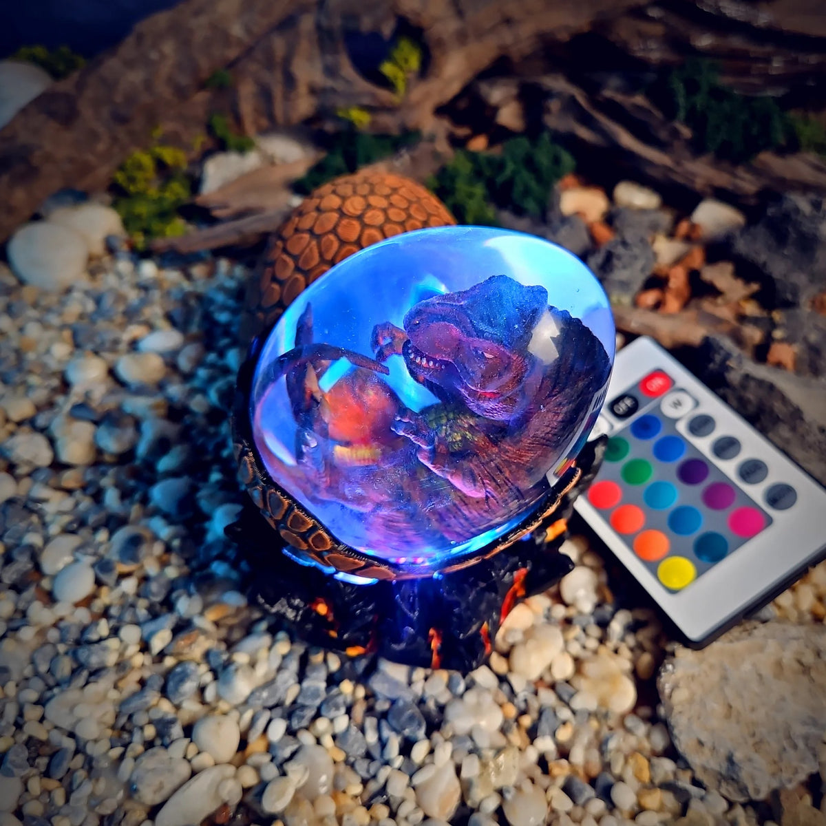 Close-up of the curled T-Rex embryo in the glowing resin egg